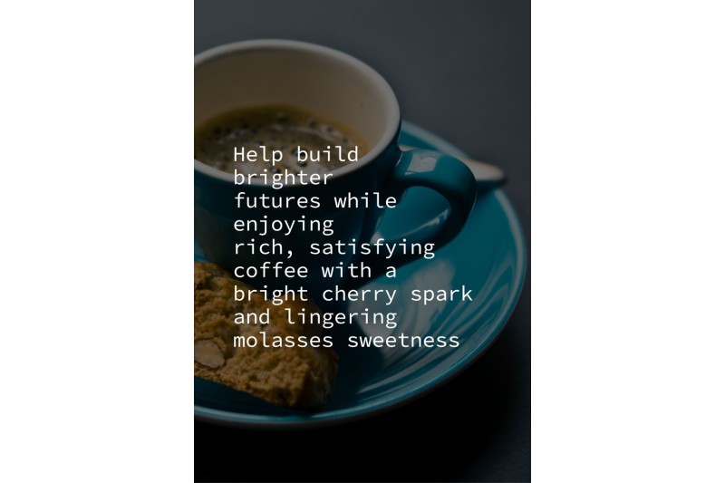 Fuel Their Day RFA Beans 12x450g