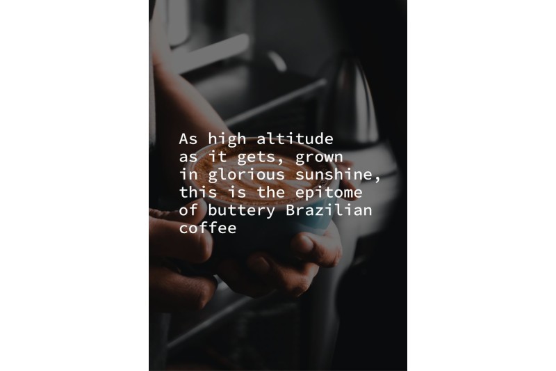 Lot 84 RFA Beans 12x450g (Previously 9-to-5)